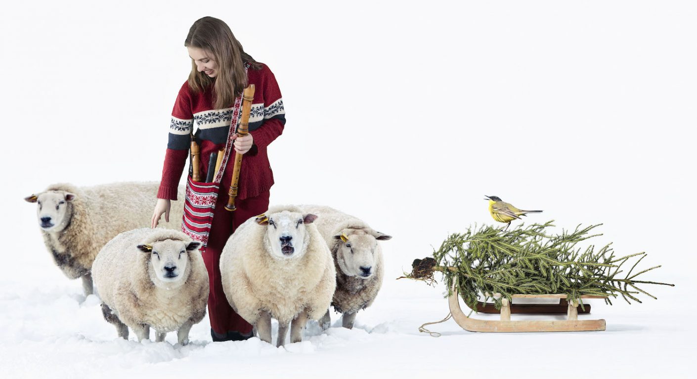 sheep in a cold white winter landscape